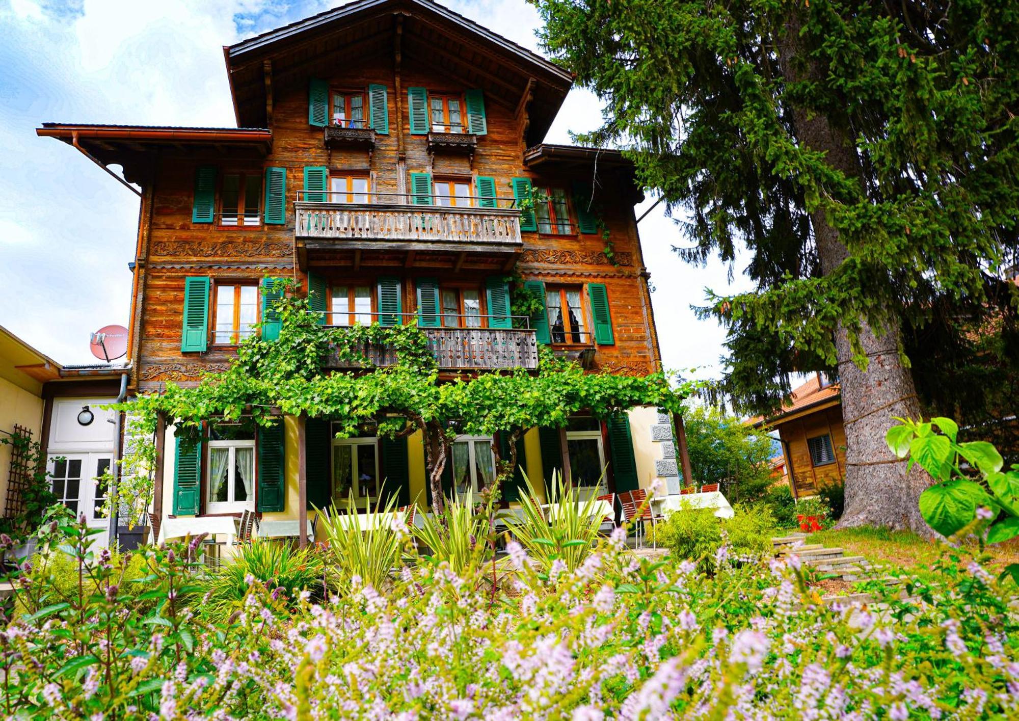 Edelweiss Lodge Wilderswil Exterior photo