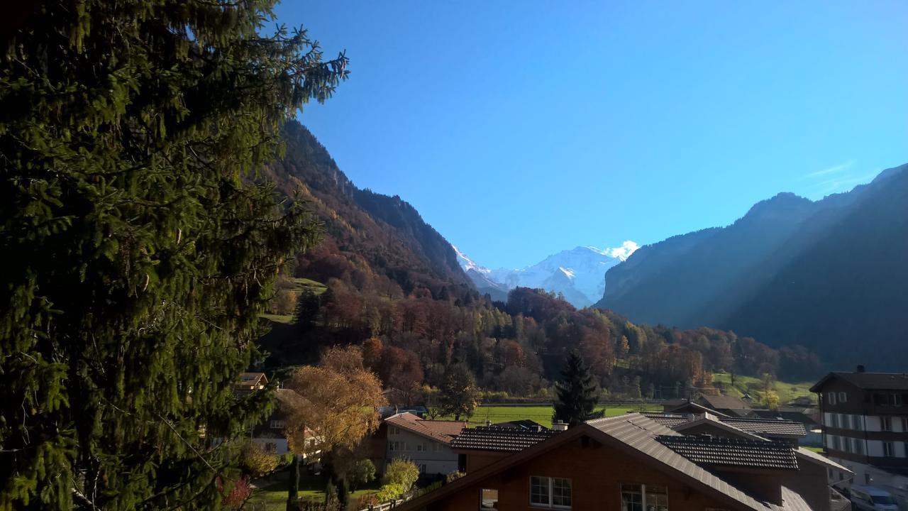 Edelweiss Lodge Wilderswil Room photo