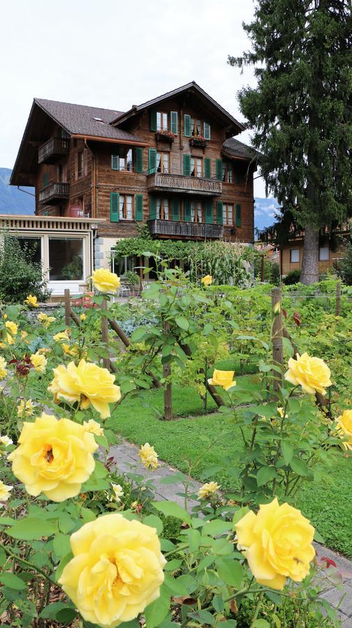 Edelweiss Lodge Wilderswil Exterior photo