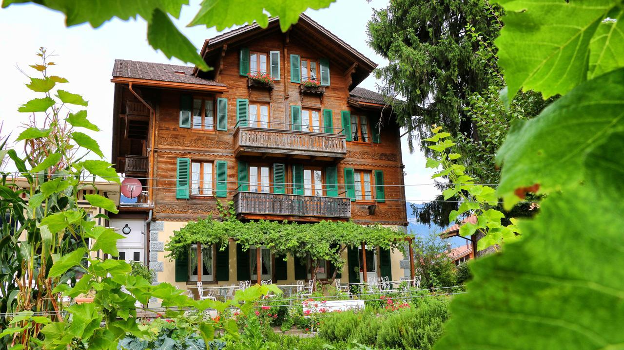 Edelweiss Lodge Wilderswil Exterior photo