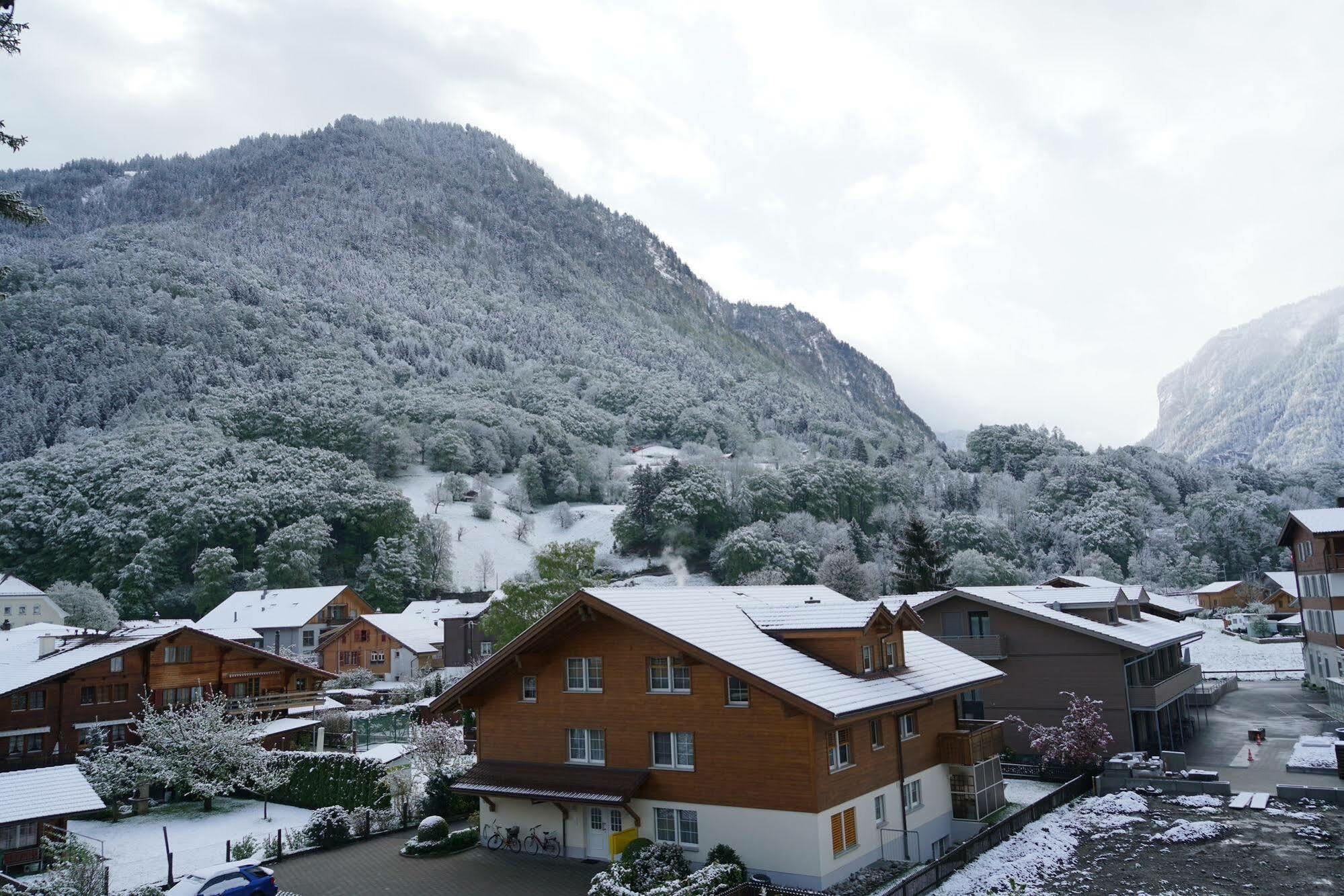 Edelweiss Lodge Wilderswil Exterior photo