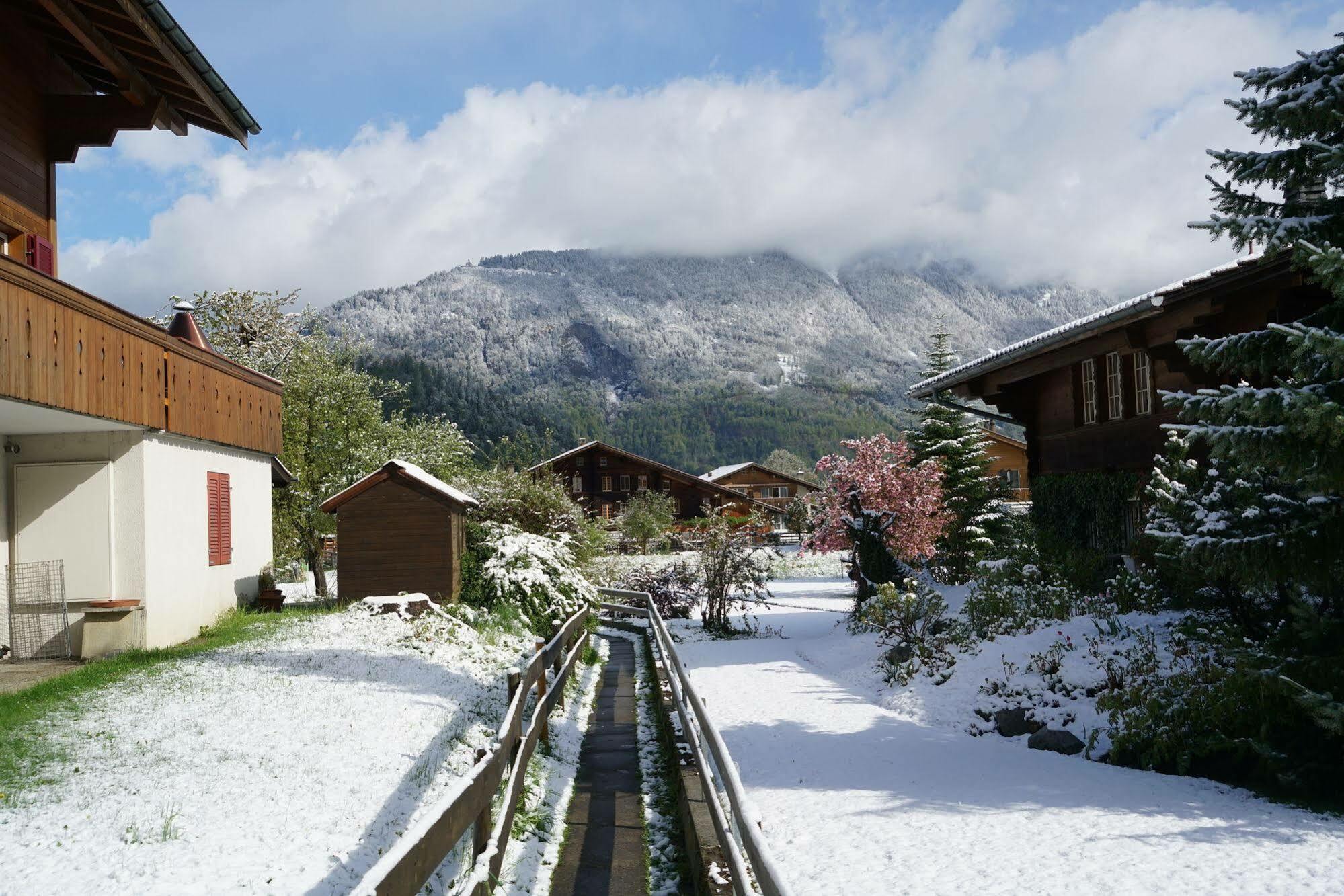 Edelweiss Lodge Wilderswil Exterior photo